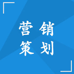 营销策划——企业网络营销的渠道策略和促销策略