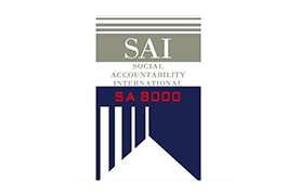 SA8000官方网站